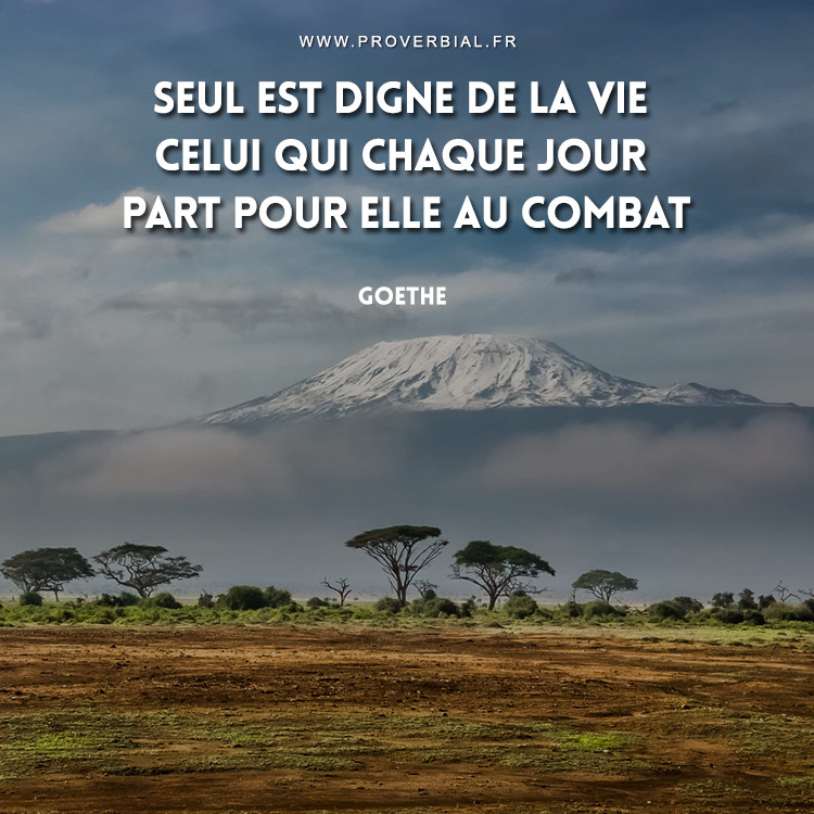 Citation De Goethe 14 Janvier 19