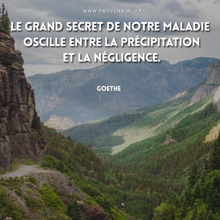 Citation de Goethe