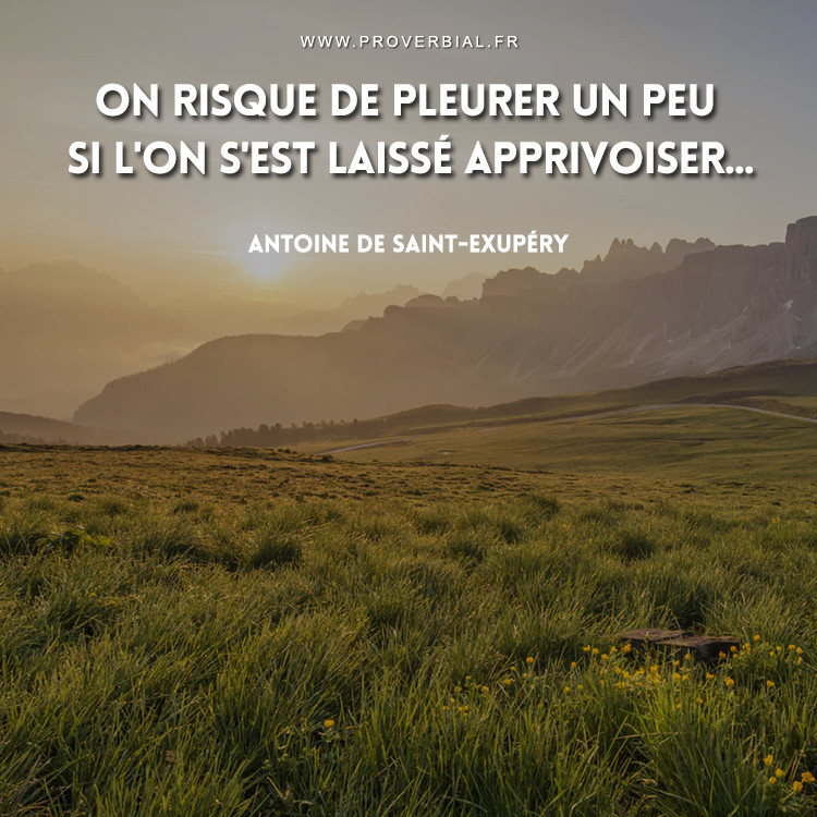 Citation de Antoine De Saint-Exupéry