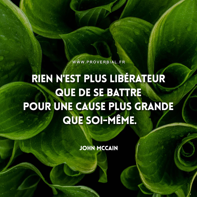Citation de John McCain