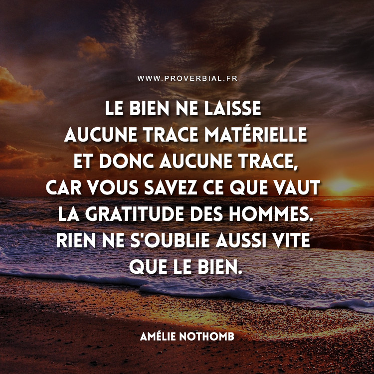 Citation De Amelie Nothomb 11 Novembre 19