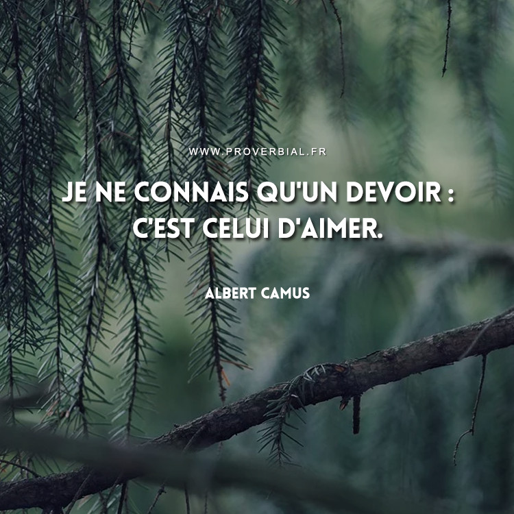 Citation de Albert Camus