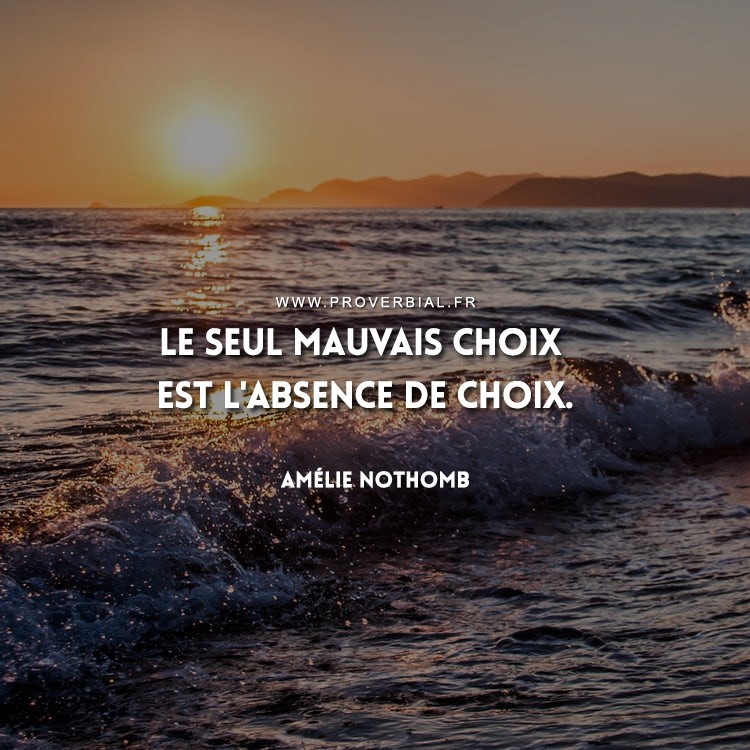 Citation de Amélie Nothomb