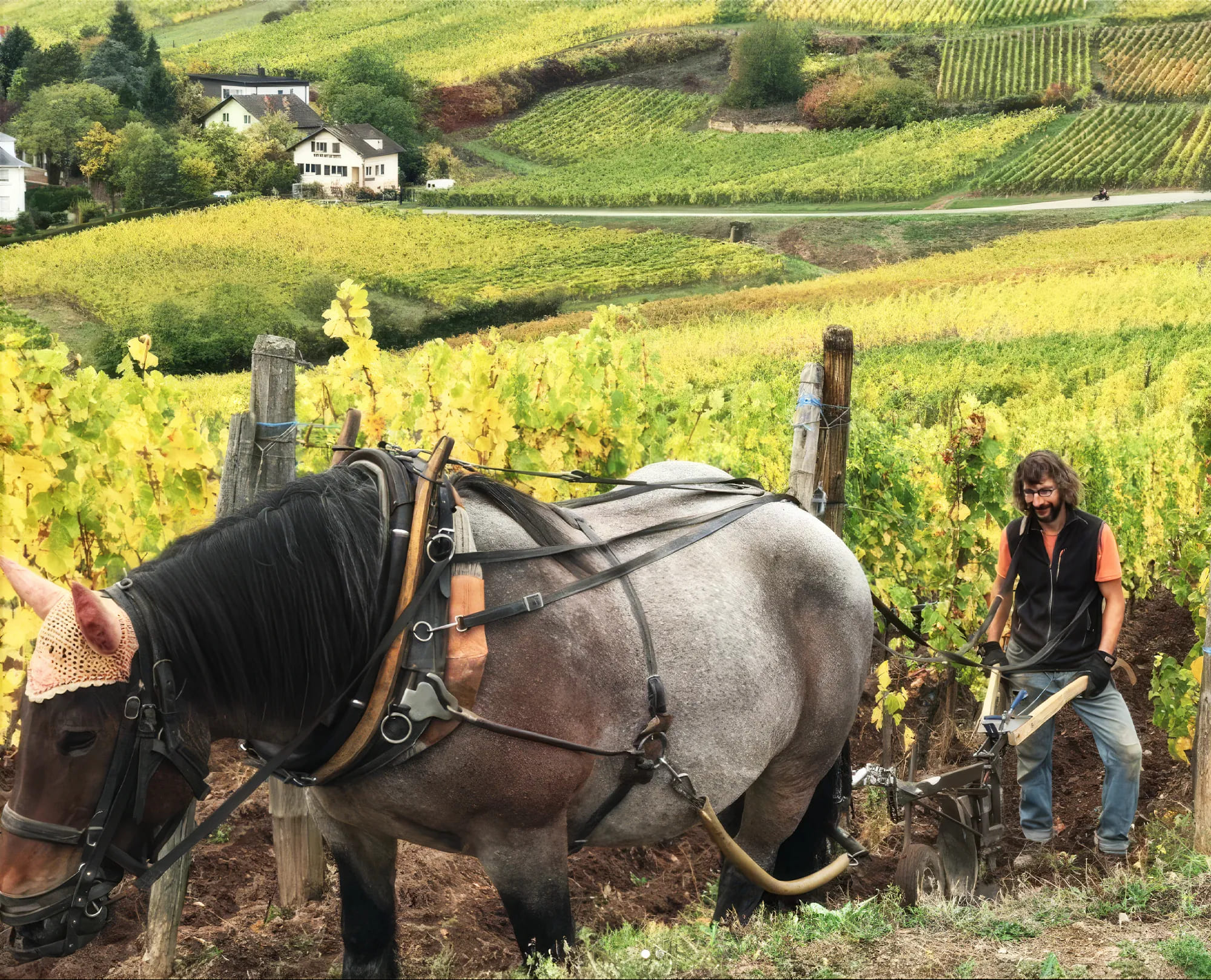 Domaine Zind Humbrecht