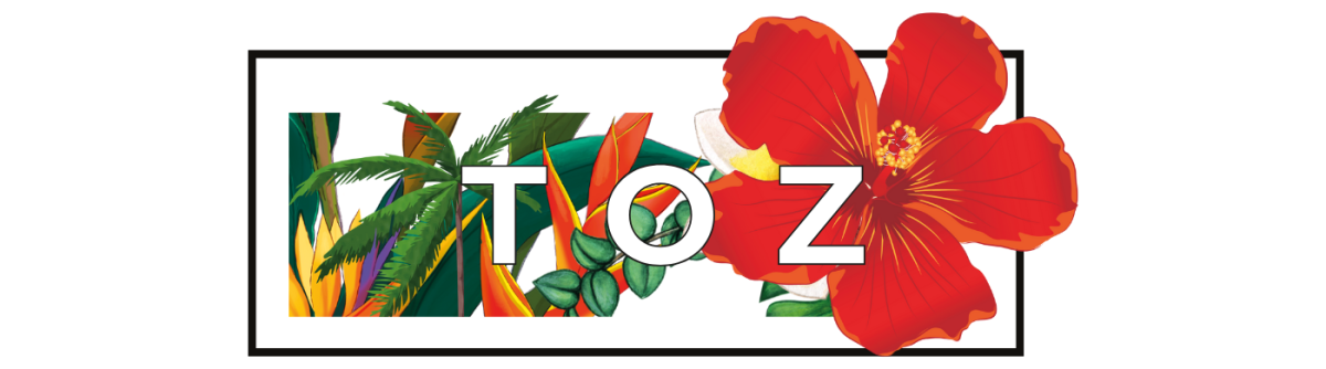 TOZ – From Marseille With Love