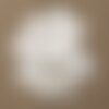 Fil 40cm 14pc env - perles nacre naturelle ronds plats palets 25mm blanc irisé