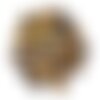 1pc - cabochon pierre - oeil de tigre rond 12mm marron bronze doré