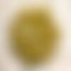 Fil 38cm 35pc env - perles turquoise synthèse etoiles de mer 14mm jaune