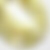 Fil 39cm 39pc env - perles nacre naturelle palets 10mm jaune clair pastel irisé