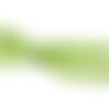 Fil 39cm 20pc env - perles pierre - jade gouttes plates 18x13mm vert clair anis pomme