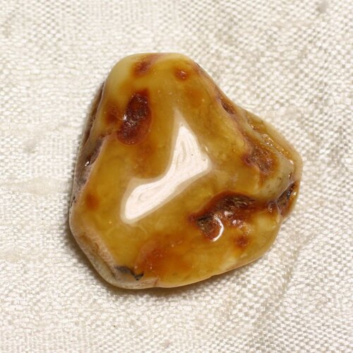 N26 - ambre naturelle pierre roulée morceau 28x27x12mm - 4558550089120