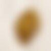 N22 - ambre naturelle pierre roulée morceau 28x22x14mm - 4558550089083