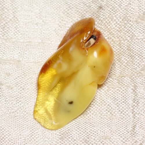N20 - ambre naturelle pierre roulée morceau 31x19x10mm - 4558550089069