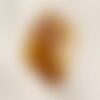 N5 - ambre naturelle pierre roulée morceau 25x22x6mm - 4558550088918