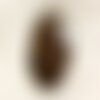 N32 - cabochon de pierre - bronzite ovale 31mm - 4558550087201