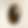 N17 - cabochon de pierre - bronzite ovale 21mm - 4558550087058
