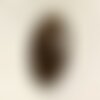 N16 - cabochon de pierre - bronzite ovale 21mm - 4558550087041