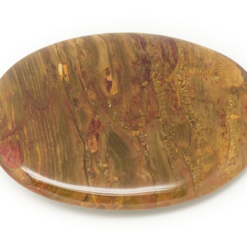 N20 - cabochon de pierre - bois fossile ovale 45x25mm - 8741140006355
