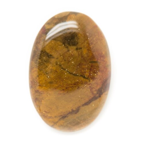N7 - cabochon de pierre - bois fossile ovale 33x23mm - 8741140006225
