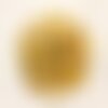 Fil 41cm 120pc env - perles ambre naturelle rocailles chips lait 8-11mm - 8741140010376