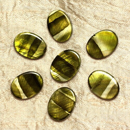5pc - perles de nacre ovales 20x15mm vert zébré  4558550031570