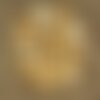 10pc - perles nacre naturelle beige irisée gouttes 9x6mm   4558550026361