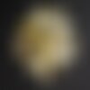 10pc - pendentifs breloques nacre jaune doré etoiles 12mm   4558550021816