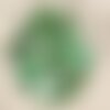 10pc - perles nacre palets 15mm vert   4558550017970