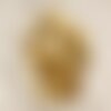 10pc - perles breloques pendentifs nacre gouttes 35mm marron bronze doré - 4558550017741
