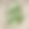 10pc - breloques pendentifs nacre ronds 20mm vert pomme anis - 4558550017352