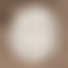 Cabochon de pierre - jade blanche ovale 14x10mm - 1pc   4558550016874