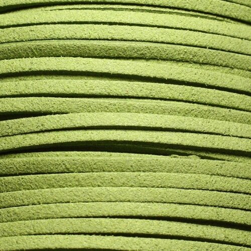 5 metres - cordon laniere suedine daim 3mm vert clair anis - 4558550004703