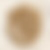 10pc - perles de nacre beige irisée boules 6mm   4558550003577