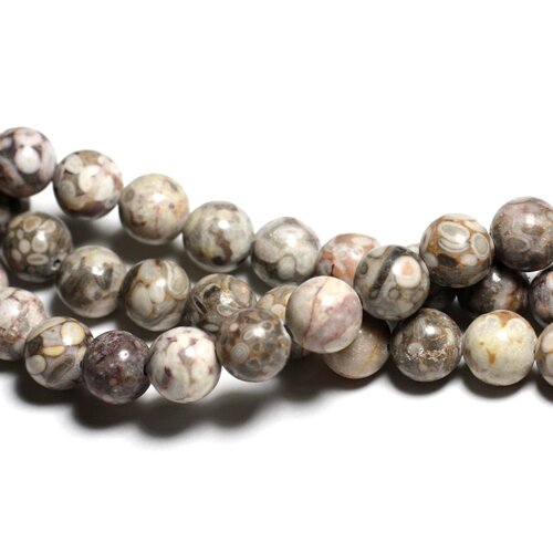 6pc - perles de pierre - jaspe océan fossile boules 10mm -  4558550039804