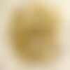 10pc - perles breloques pendentifs nacre pommes 12mm jaune doré  - 4558550004550