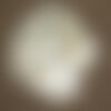 5pc - perles breloques pendentifs nacre blanche lunes 22mm  4558550013415