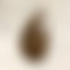 Cabochon de pierre - bronzite goutte 25mm n6 -  4558550086945