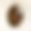 Cabochon de pierre - bronzite rond 21mm n2 -  4558550086907