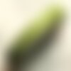 1pc - bobine 45 mètres - ruban tissu organza vert kaki olive 10mm   4558550004482