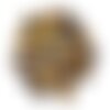 2pc - cabochons pierre - oeil de tigre rond 8mm marron noir bronze doré - 4558550035288