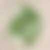 10pc - breloques pendentifs nacre feuilles ailes 16mm vert   4558550016973