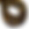 10pc - perles de pierre - oeil de tigre rondelles 8x5mm - 8741140007871