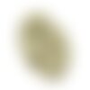 N24 - cabochon de pierre - pyrite dorée brut 22x15mm - 8741140018549