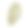 N15 - cabochon pierre - topaze jaune facettée goutte 18x12mm - 8741140019096