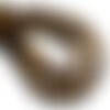 5pc - perles pierre - oeil de tigre boules 10mm marron bronze doré noir