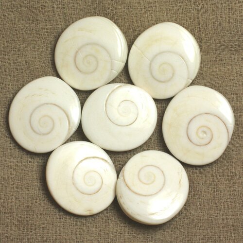 Fil 39cm 18pc environ - perles coquillage oeil sainte lucie shiva ovales 18-22mm blanc beige spirale