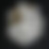 1pc - perle coquillage oeil sainte lucie shiva grade b imperfections ovale 18-22mm blanc beige spirale