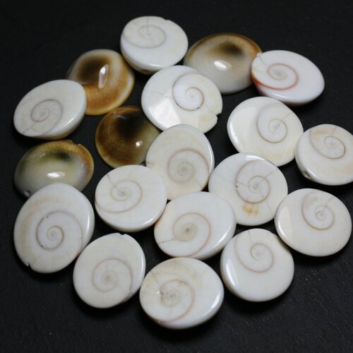 1pc - perle coquillage oeil sainte lucie shiva grade b imperfections ovale 18-22mm blanc beige spirale