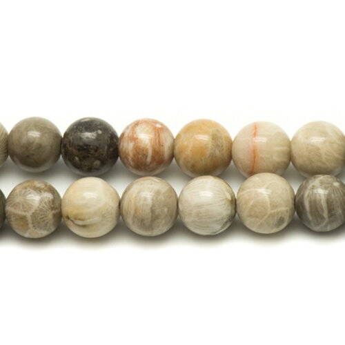 10pc - perles pierre corail fossile fossilisé boules 6mm beige gris marron