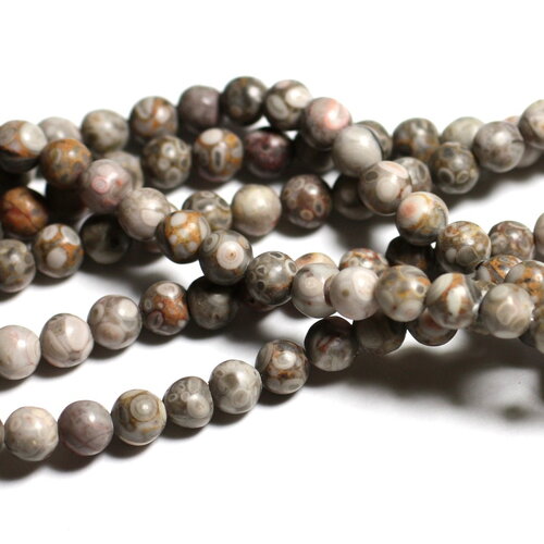 Fil 39cm 63pc environ - perles pierre jaspe océan fossile boules 6mm blanc gris beige marron